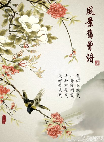 紅樓之風景舊曾諳